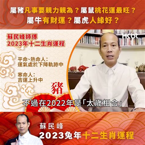 蘇民峰家居風水2023|【2023兔年運程】蘇民峰2023年兔年流年風水佈局：財位在正南方！放粉紅色物件可化解是非？｜家居風水｜風水 